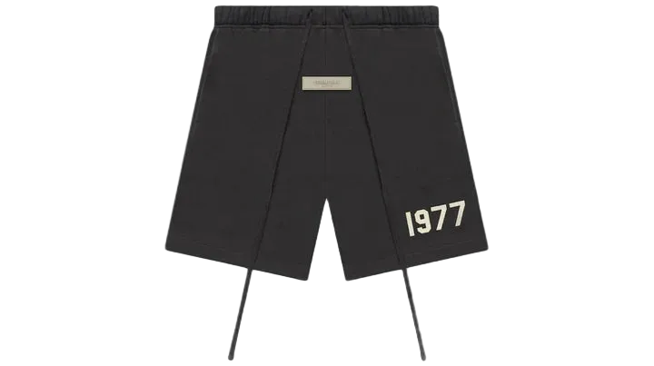 ESSNTIALS 1977