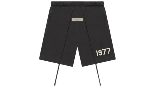 ESSNTIALS 1977